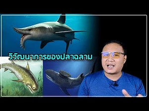 ฉลามโบราณและวิวัฒนาการของฉลาม