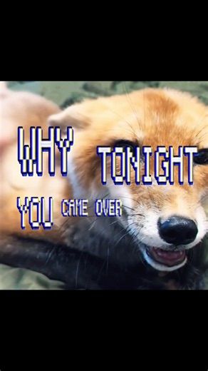 Song name is “holy hand grenade” #overtonight #cuteanimals #fox #wifiskeleton #lyricvideo #relatable