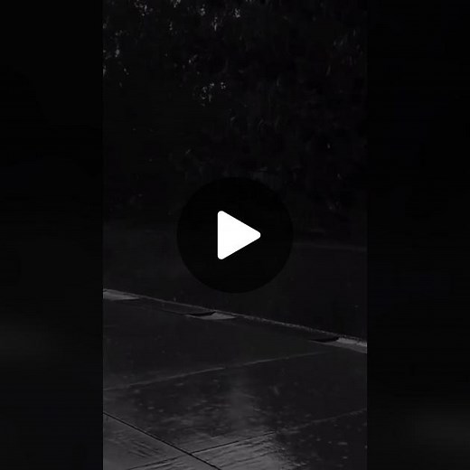 Reflective Moments in Nature: A Personal Story