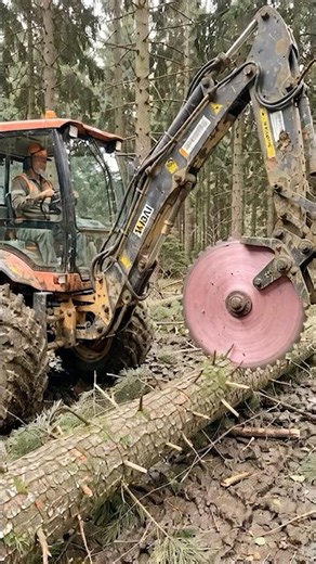 Satisfying Timber Cut! Heavy Harvester in Action ep2