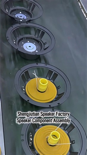 Manual assembly of speaker components. #speakerfactory #viral #fyp #audio #speakers