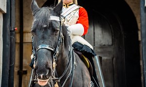 A tourist ignores sign at Buckingham Palace that says "horses may bite" — so the horse bites (video)
