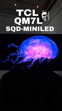 TCL QM7L The SQD-MINI-LED You Need!