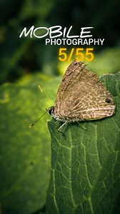 Creative Photography | Tips & Tricks with Phone using Pro Mode📷 | Mobile Photography Hacks💥 Follow @chandra__ph47 for more photography information Click on vivo y21t @vivo_india Mobile photography ideas | Mobile photography tips & tricks | Easy photography ideas | Viral photography ideas | Phone photography ideas Flower photography ideas | Trick photography ideas | photography ideas | photography tips and tricks #nature #editing #photography #tipsandtricks #viral @snapdragonofficial | PCM Phot