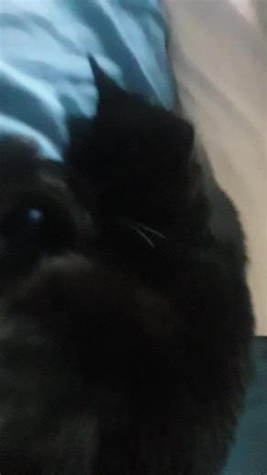 Jessica and roblox on TikTok