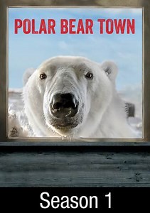Polar Bear Town: Welcome to Churchill