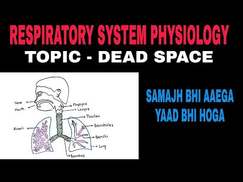 Dead Space | Respiratory System Physiology
