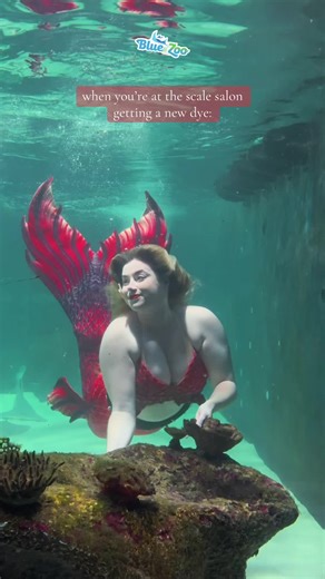 it’s my favorite! Which color would you like to see next? #rose_the_mermaid #finfolkproductions #bluezoo #mermaid #junglered