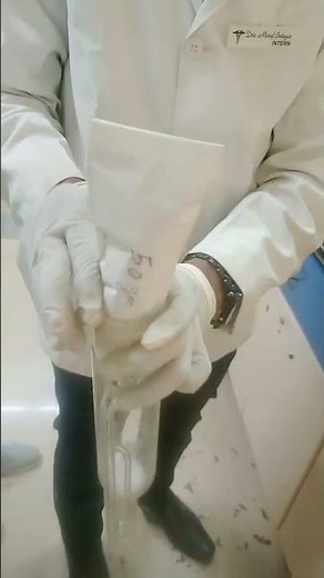 Neem extraction using Soxhlet apparatus #extraction #soxlet #pharmacist #bpharmacy #medicalstudent