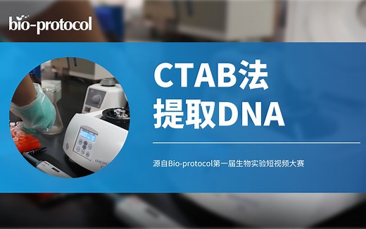 【Bio-protocol】CTAB法提取DNA
