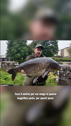 Extreme fishing in a Slovenian city! 🇸🇮🏙️🐟