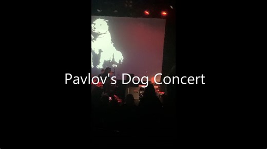 Pavlovs dog 2025
