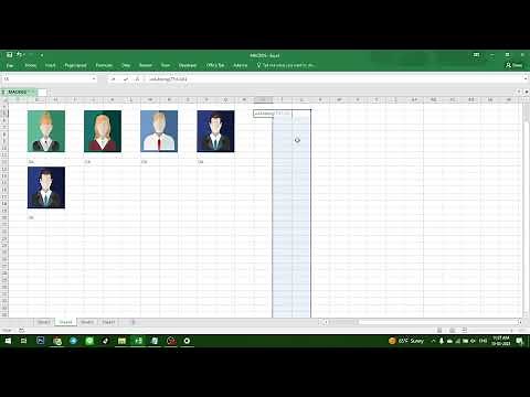 INSERT PICTURES & AUTO RESIZE WITH SELECTED CELLS (EXCEL VBA)