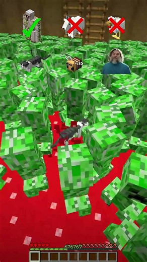 Go to school tomorrow!😚😚 #reels #shorts #minecraft #minecraftshorts #viral #vairalvideo