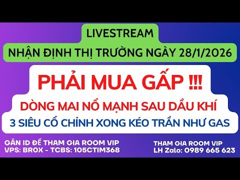 Chứng khoán hôm nay | Nhận định thị trường: VNINDEX KÉO TRẦN DẦU, TOP SIÊU CỔ SẮP NỔ