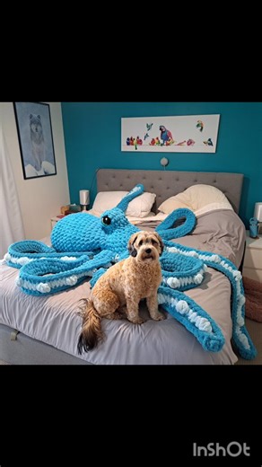 12 reactions · 5 comments | He's done! Meet Garry. A combination of 38 balls of yarn, 4 pillows, 20 hours of work and a whole lot of crazy. The octopus pattern is #anchortheoctopus By @humblechild.co The eyes are the "round glint eye" pattern by @cro_with_the_flo The yarn I found on t3mu. 250g balls with 20mm thickness. Stuffing is kmart pillows  I used an 18mm hook. #crochet #amigurumi #giantcrochet #octopus #thickcrochet | Sketchy love crochet | Facebook