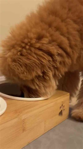 Barney has a unique way of enjoying his food