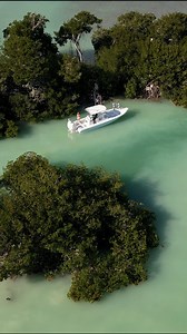 46K views · 641 reactions | This is bay boat country.  The kind of...