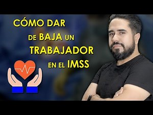 Cómo dar de baja un trabajador en el IMSS
