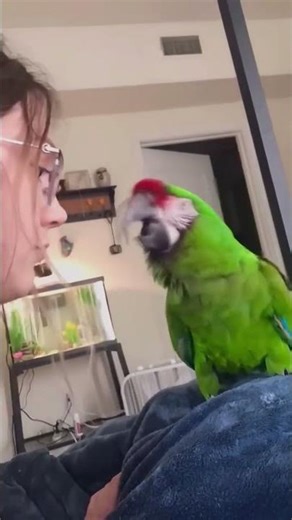 He’s doing his best, okay? 🥺 #shorts #funny