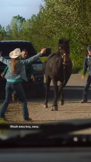 Like mother, like daughter #Heartland #UPFaithAndFamily #FamilyDrama #HeartwarmingSeries #FaithTV | Heartland Show Fans