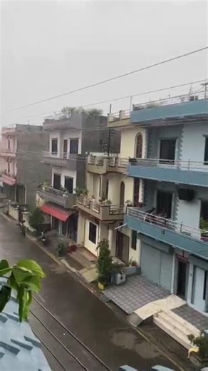 Bipul Chettri - Syndicate (Album - Maya)