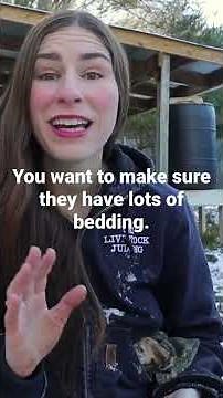 Keeping goats happy 🥰 in COLD weather 🥶🥶🥶 #goat #goats #goatfarm