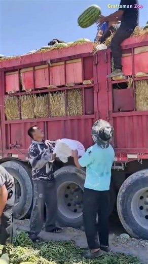 Amazing Watermelon Loading Skills! Farmers Toss Melons onto a Truck with Perfect Teamwork