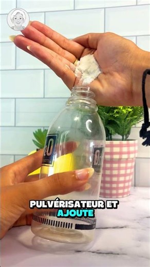 No More Bugs! 🐜 My Natural and Magical Recipe ✨