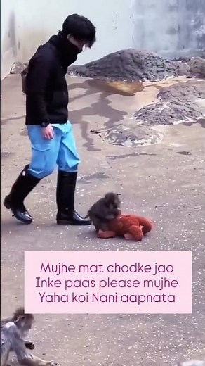 Real Viral Monkey Today 🐒💔 | Cute Baby Monkey from Japan Zoo 😍 | Emotional Monkey Video