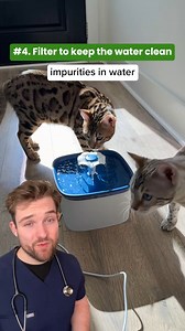 The truth behind many popular cat fountains! Many vets don't tell you that | KittySpout