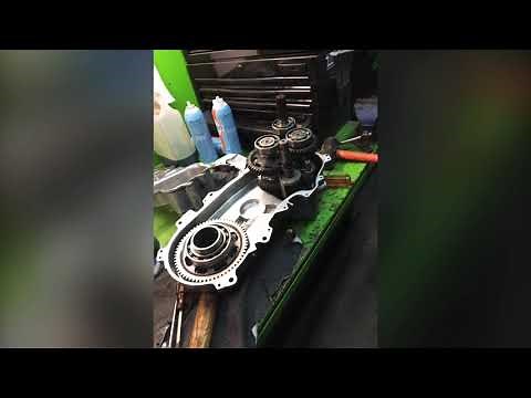 Transmission expédition/skandic