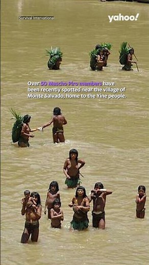 Rare footage of uncontacted tribe seen in Amazon rainforest where loggers operate | #yahooaustralia