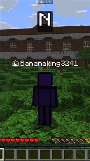 Minecraft find the color challenge