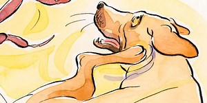 Advantix vs frontline - différence et comparaison - Blog 2025