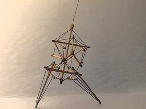 Tensegrity Torso