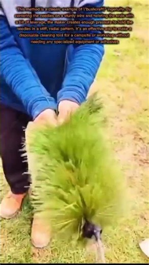 DIY Pine Needle Broom: The Ultimate Bushcraft Cleaning Hack