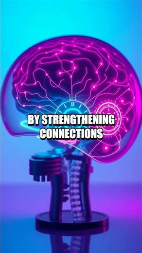 The Neural Clock That Predicts Tomorrow