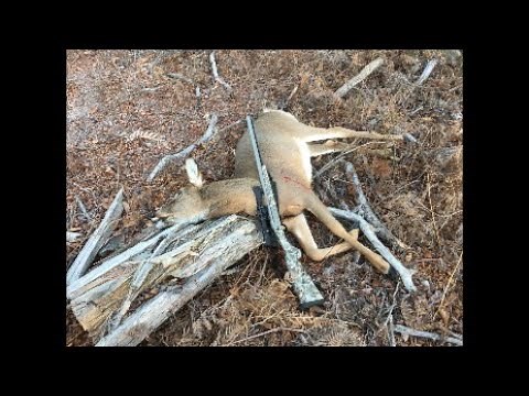 Traditions Muzzleloader