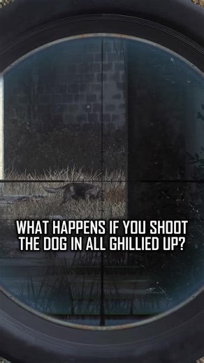 Consequences of Shooting the Dog in Call of Duty 4