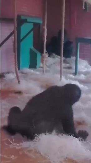 وقتی دوست دخترت اذیتت میکنه 😂❌