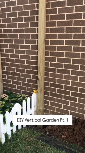 Throwback to 2022 DIY Vertical Garden - Building The Foundation We’ve been wanting to set-up something on this empty wall in our courtyard. We had varieties of ideas before like weatherboard installation, wall shelving for potted plants, just plant wall climbers and finally decided on building a vertical garden using cloth plant packets. We used H4 treated pine timber to withstand decay and insect attack, making it suitable for direct ground contact in exposed outdoor applications. The depth of