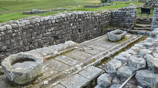 Hidden dangers beneath the marble: Explosions, parasites, and octopus encounters inside Rome’s public toilets