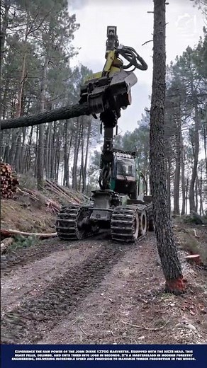 Smart Tree Harvesting Machine Innovation: Forestry Equipment for High-Efficiency Logging