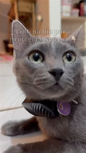 Chega de medo de perder seu pet 🙏🏻 Link na bio