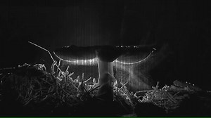 Dieses Wochenende 30 Stunden Rave mit den bff's vom ://about party, IO, Aequalis, pneuma-dor Mehr Infos hier: Aequalis × Modul x Sunday Service w/ Giorgio Gigli, Lee Gamble Track: Giorgio Gigli & VSK - Memories Of An Unconncet Era Video: Colloidal Screen | Institut fuer Zukunft