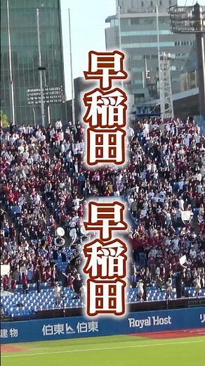 早慶戦 早稲田大 紺碧の空（歌詞付き） の大合唱 #shorts #早稲田大学 #紺碧の空 #野球応援 #大学野球