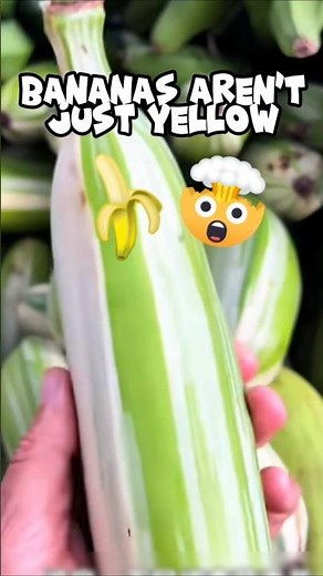 5 Bananas You’ve Never Seen Before!