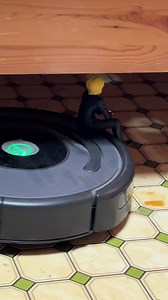 ルンバと散歩するクラピカの面白動画