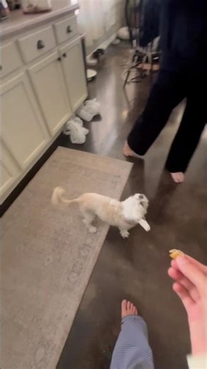 Play with me